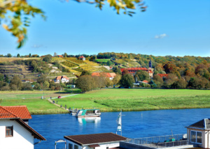 Heimat-Travel-Weinberge-Elbe