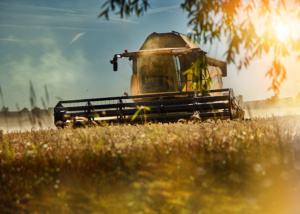 Werbeaufnahmen-Landwirtschaft