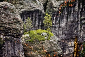 Bastei 04 web