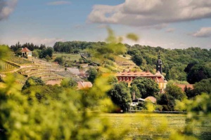 Diesbar Schloss Web