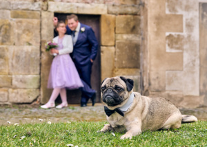 Hochzeiten_AP