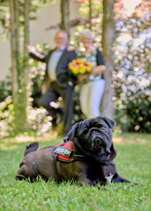 Hochzeiten_AV