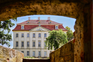 MARTINSKIRCH 02 WEB