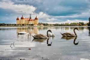 Moritzburg-0922-03-web
