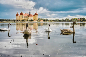 Moritzburg-0922-web