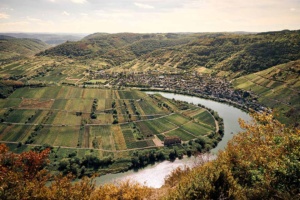 Mosel (27)