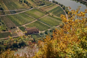 Mosel (29)