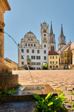 Oschatz (4)