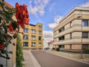 Oschatz An der Döllnitz 01 web