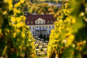 Radebeul-03-WEB