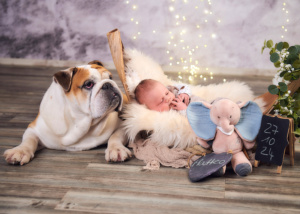Fotostudio Corinna Baby + Hund 01