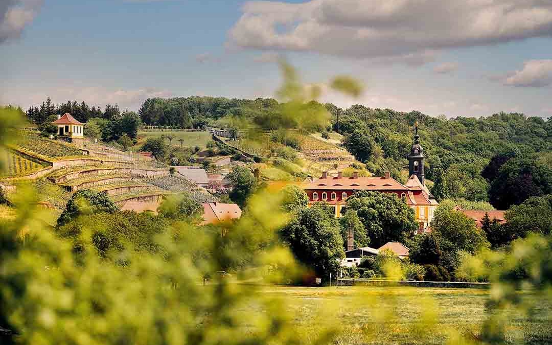 Diesbar Schloss Web