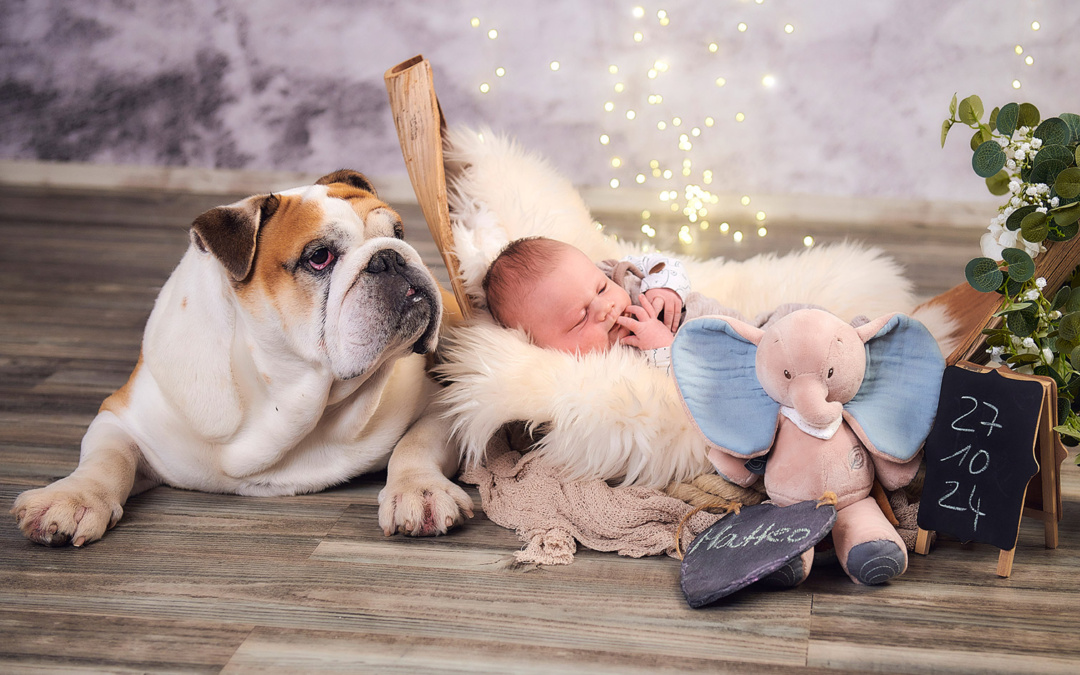 Fotostudio Corinna Baby + Hund 01