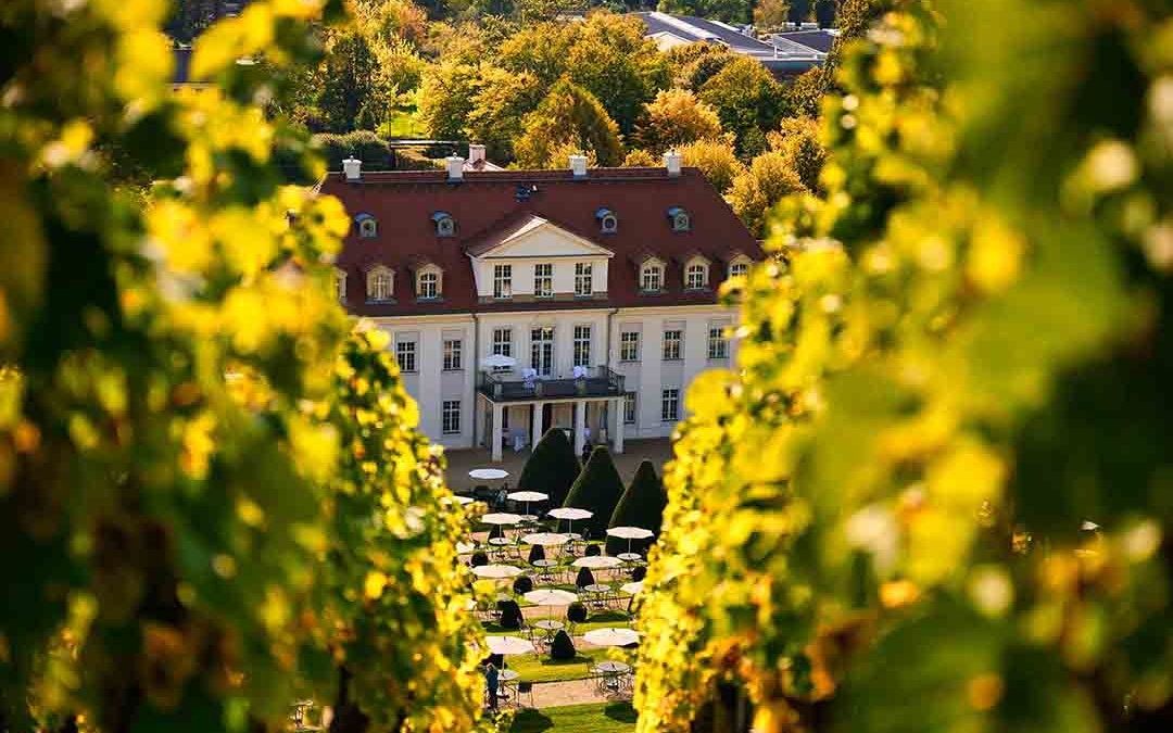 Radebeul-03-WEB